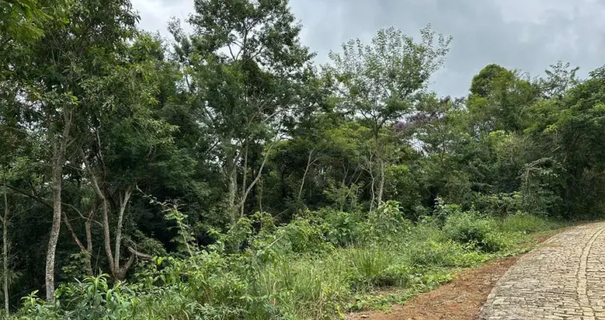 Terreno em condomínio fechado à venda na Rua Acesso D, 735, Novo Horizonte, Juiz de Fora