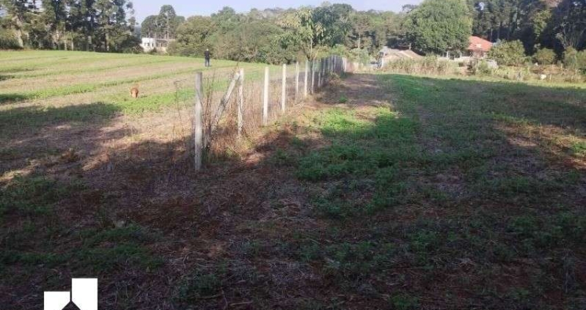 Chácara / sítio à venda em Borda do Campo, São José dos Pinhais 