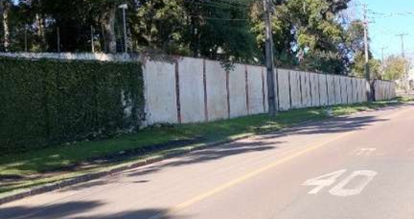 Terreno à venda no Itália, São José dos Pinhais 