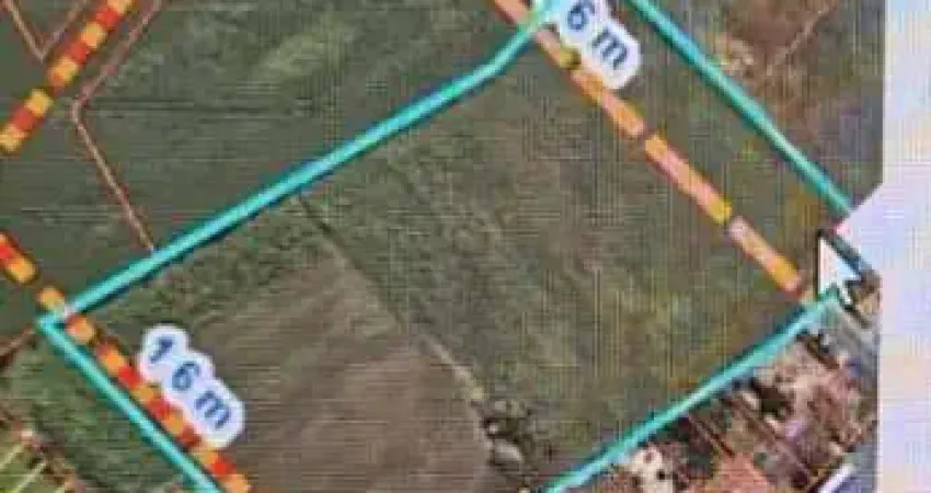 Terreno à venda na Costeira, São José dos Pinhais