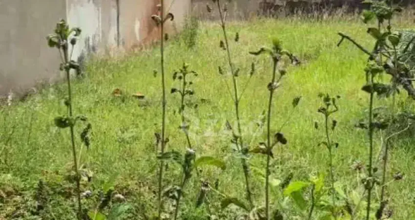 Terreno para alugar, 760 m² por r$ 2.000,00/mês - santos dumont - uberaba/mg