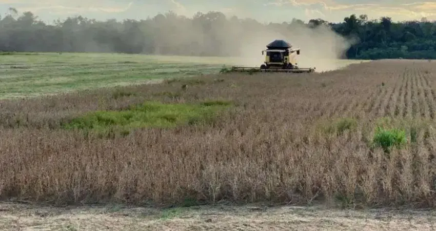 Chácara / sítio à venda na Rodovia PA 140, 4 Bocas, Tomé-Açú