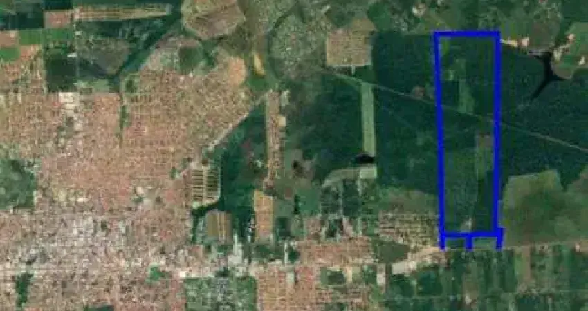 Fazenda de 290 hectares dentro de castanhal !!! as margens da br-316 - castanhal-pa