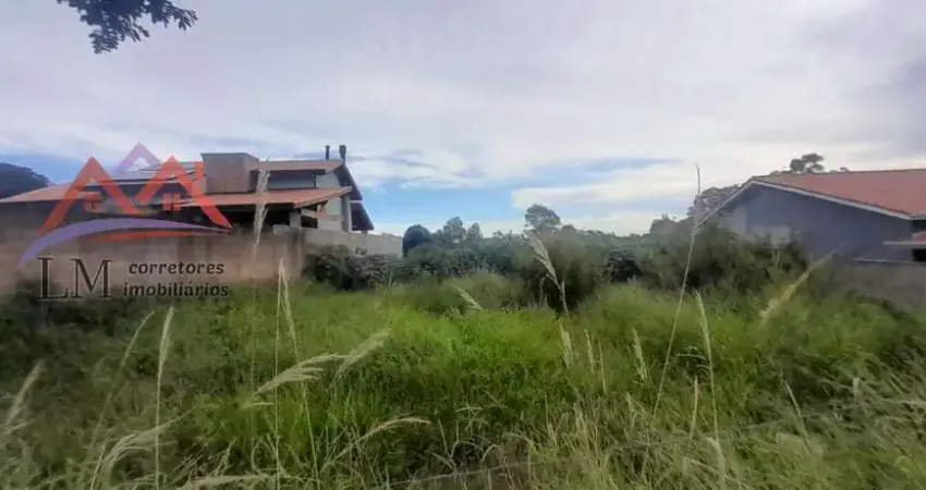 Terreno à venda na Zona Rural, Pinhalzinho