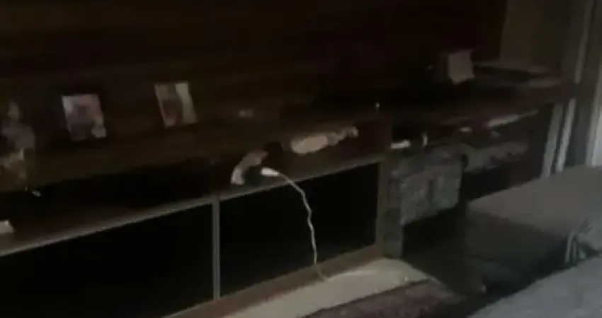 Apartamento com 2 quartos à venda no Jardim Roberto, Osasco 