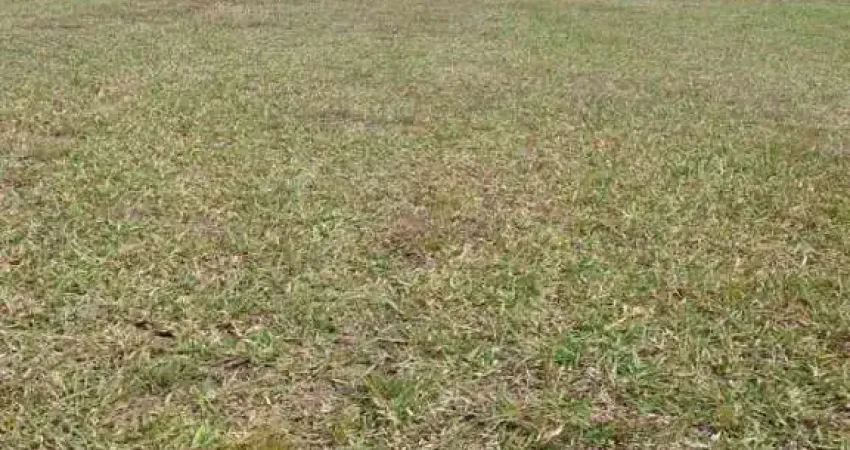 Terreno em condomínio fechado à venda no Centro, Pardinho