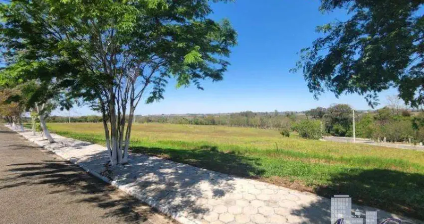 Terreno à venda no Centro, Conchas 