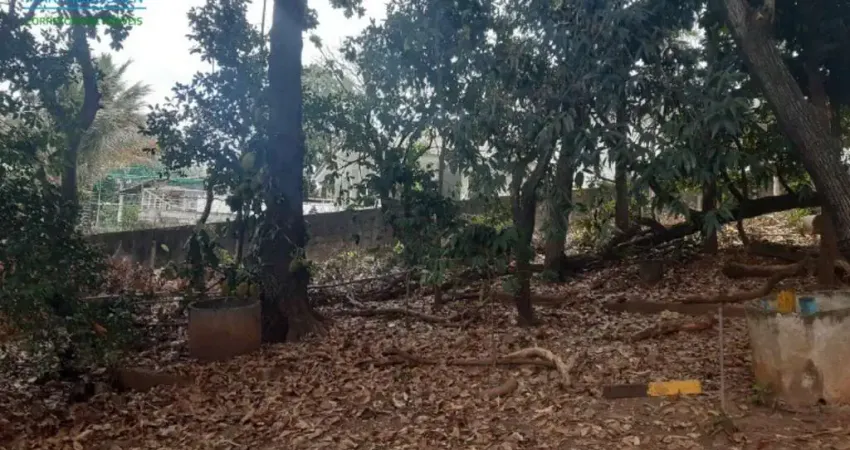 Terreno à venda na Avenida Otacílio Negrão de Lima, 000, Bandeirantes (Pampulha), Belo Horizonte