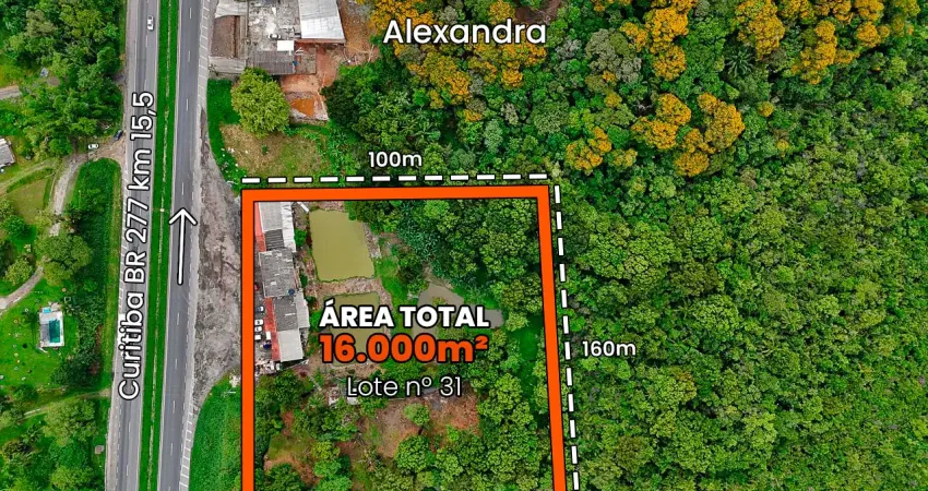 Terreno comercial à venda na br 277, Alexandra, Paranaguá