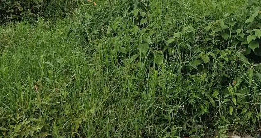 Terreno à venda no São Paulo, Navegantes 