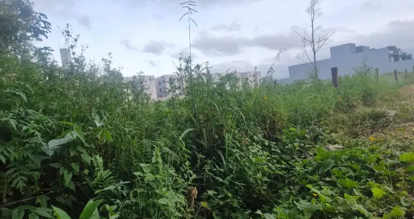 Terreno à venda no São Paulo, Navegantes 