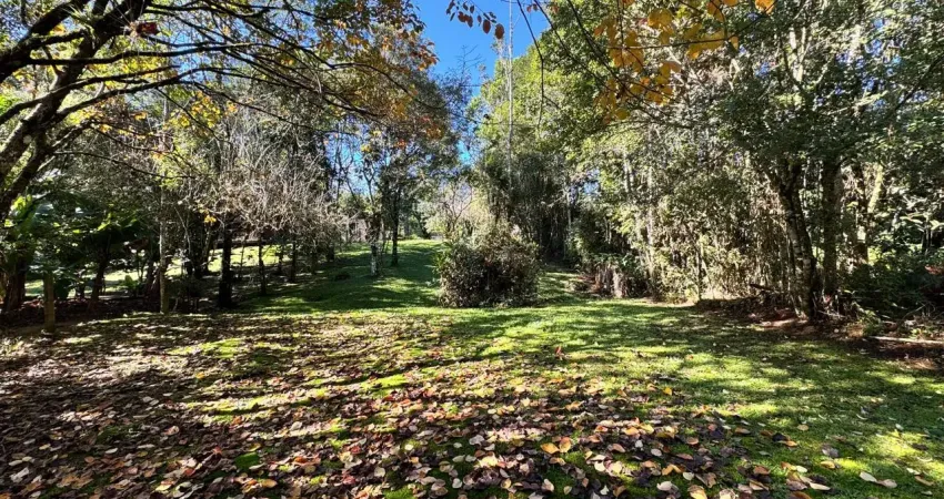 Chácara / sítio à venda na Rua Prefeito José Koering, 102, Zona Rural, Santo Amaro da Imperatriz