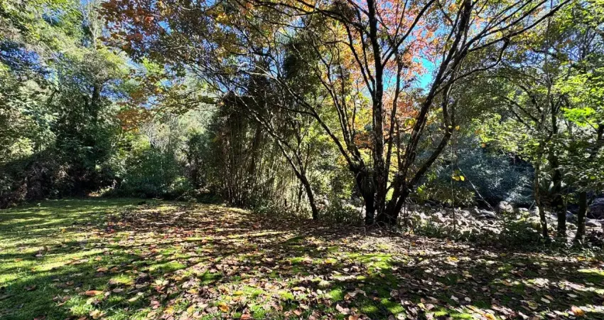 Chácara / sítio à venda na Rua Prefeito José Koering, 1025, Zona Rural, Santo Amaro da Imperatriz