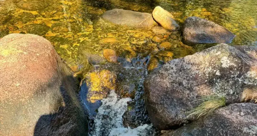 Lina chácara com escritura publica em santo amaro da imperatriz!