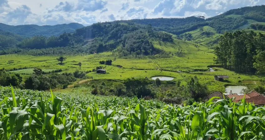 Chácara / sítio à venda na Rua Prefeito José Koering, 1025, Caldas da Imperatriz, Santo Amaro da Imperatriz