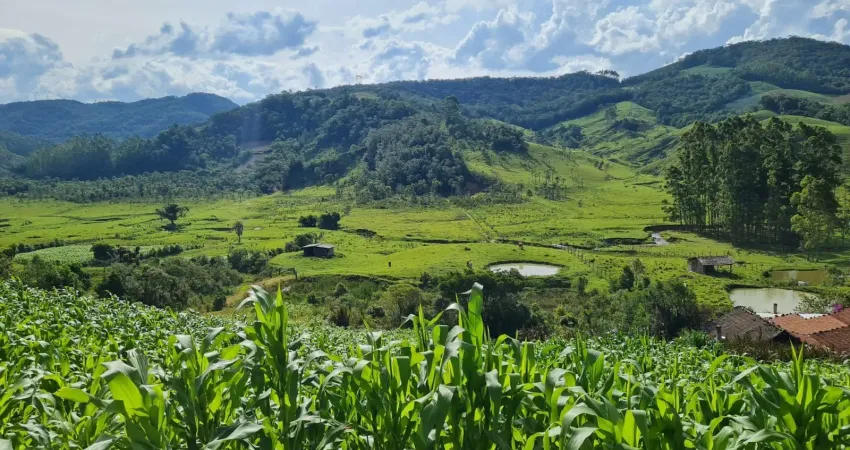 Sitio com linda vista, otimo para quem procura ter aquele lugar de paz!