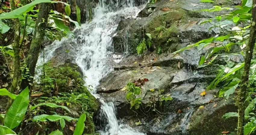 Mega sitio em santo amaro da imperatriz, ótima oportunidade!