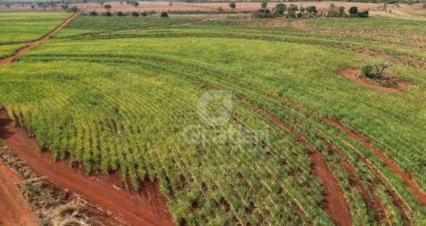 Fazenda à venda na Rodovia Ribeirão Bonito - Trabiju, Zona Rural, Ribeirão Bonito