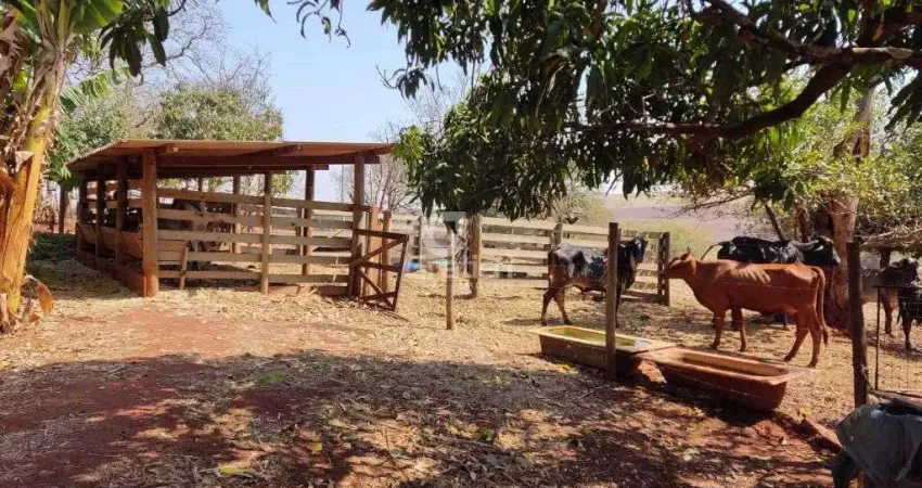 Chácara / sítio à venda na Estrada Abílio Augusto Corrêa, 2150, Machados, Araraquara