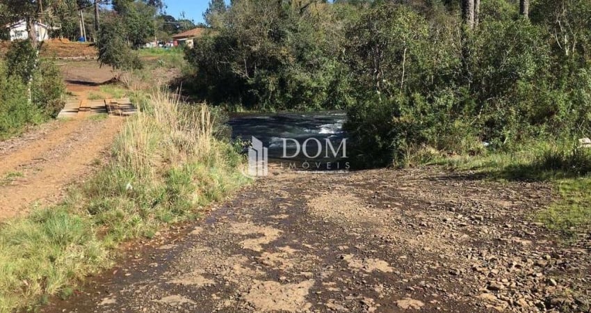 Chácara / sítio com 2 quartos à venda na cachoeira dos turcos, sn, Centro, Turvo