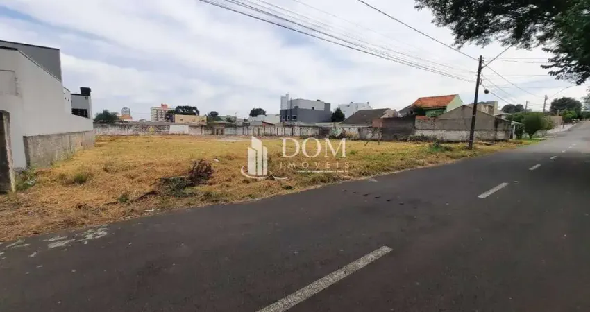 Terreno comercial à venda na Rua Frei Caneca, Santa Cruz, Guarapuava