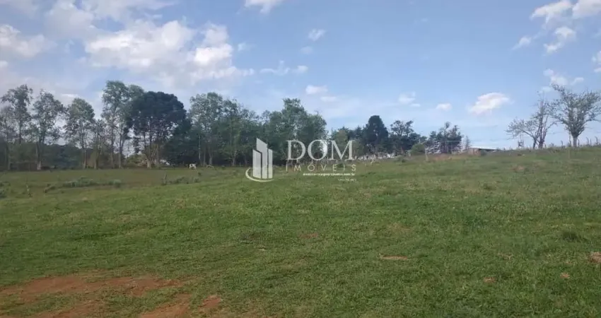 Terreno à venda na Vila Jordão, Guarapuava