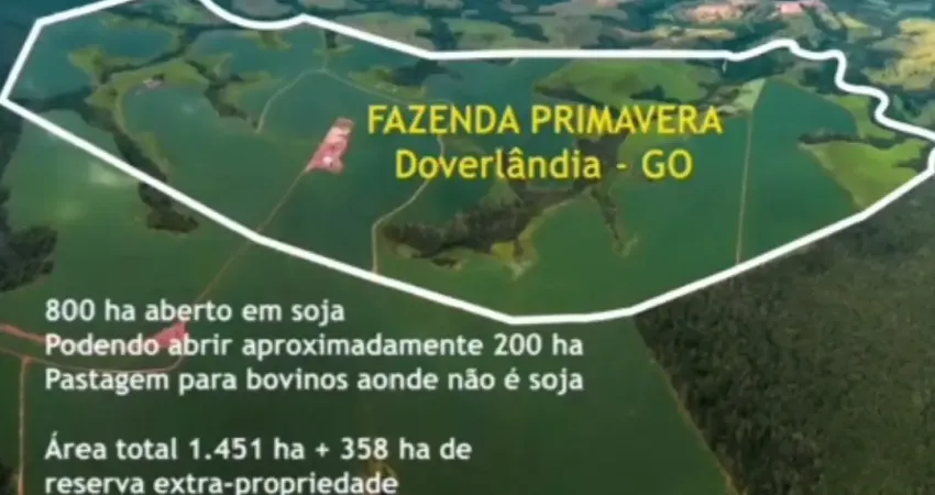 Linda propriedade municipio de dorverlandia go  plantando soja a 4 anos