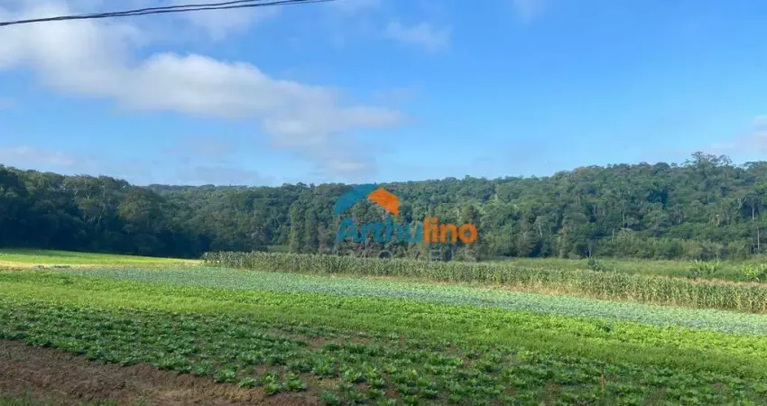 Terreno à venda, 194.153,97m² por r$ 11.650.000 - vila aparecida - suzano/sp