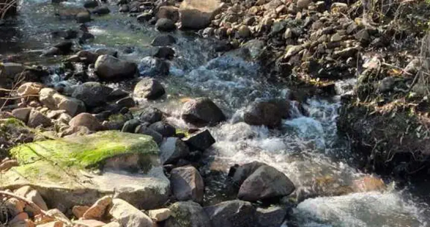 Chácara / sítio à venda no Desvio Rizzo, Caxias do Sul 