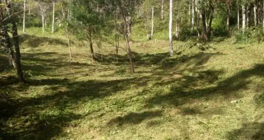 Chácara / sítio à venda no Galópolis, Caxias do Sul