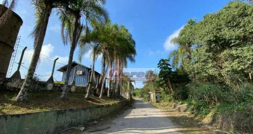 Área à venda, 24000 m² por r$ 4.800.000,00 - itapeti - mogi das cruzes/sp