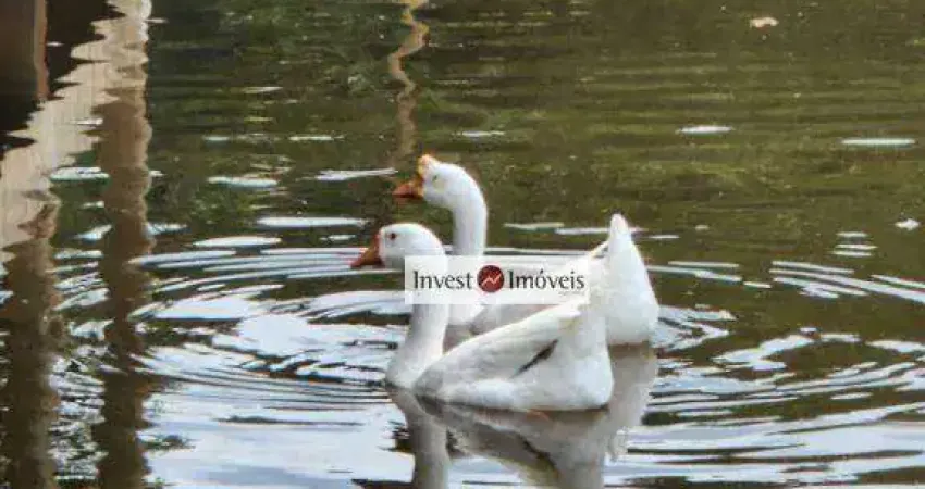 Chácara / sítio à venda na Estrada do Espírito Santo, 2, Bairro do Espírito Santo, Paraibuna