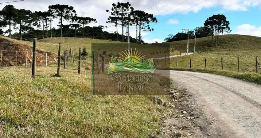 Chácara / sítio à venda no Vargedo, Rancho Queimado