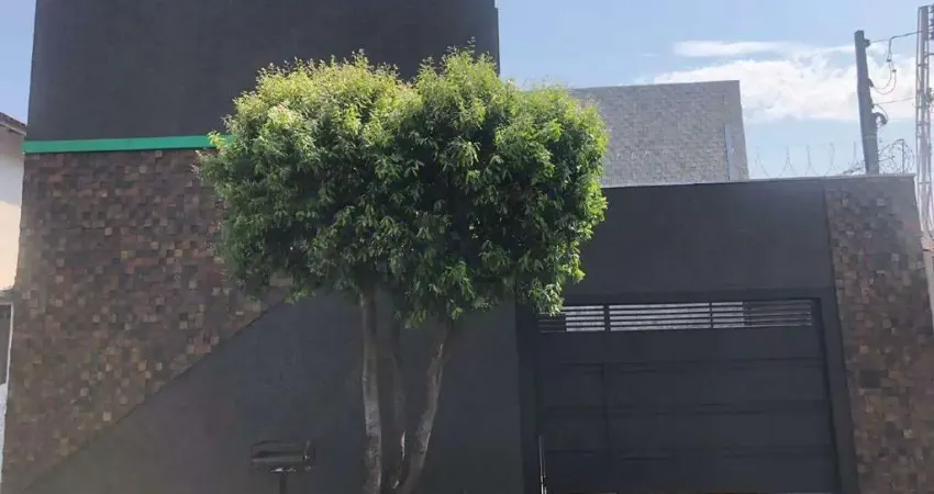 Pacífico | locação | 6 salas | 4 bahenheiros | 1 cozinha | 2 vagas | bauru