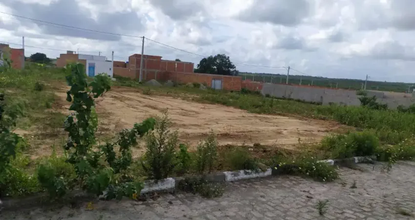 Terreno em Tomba  -  Feira de Santana