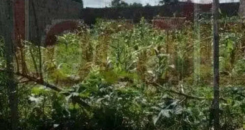 Chácara / sítio à venda no Mangabeira, Feira de Santana 