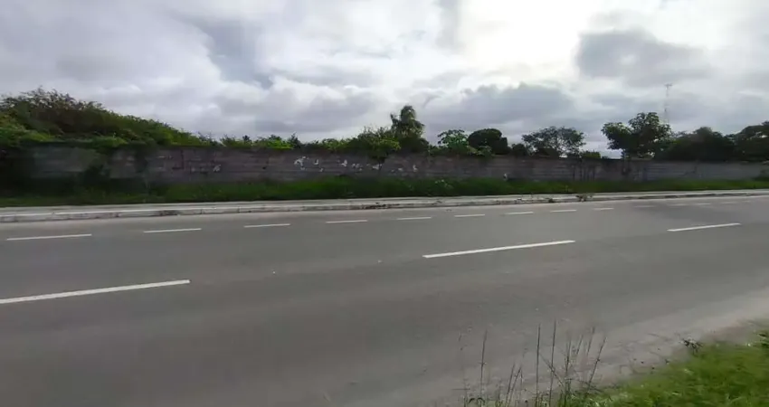 Terreno em Papagaio  -  Feira de Santana