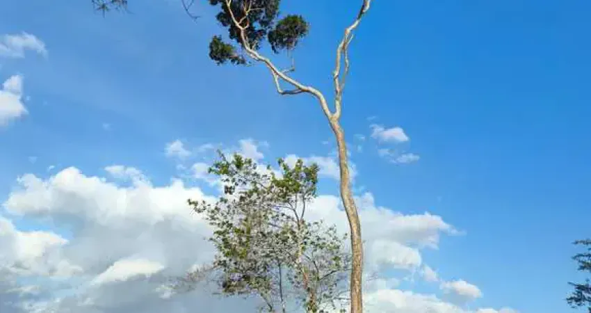 Chácara / sítio com 2 quartos à venda em Humildes, Feira de Santana 
