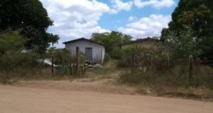 Fazenda em Feira de Santana