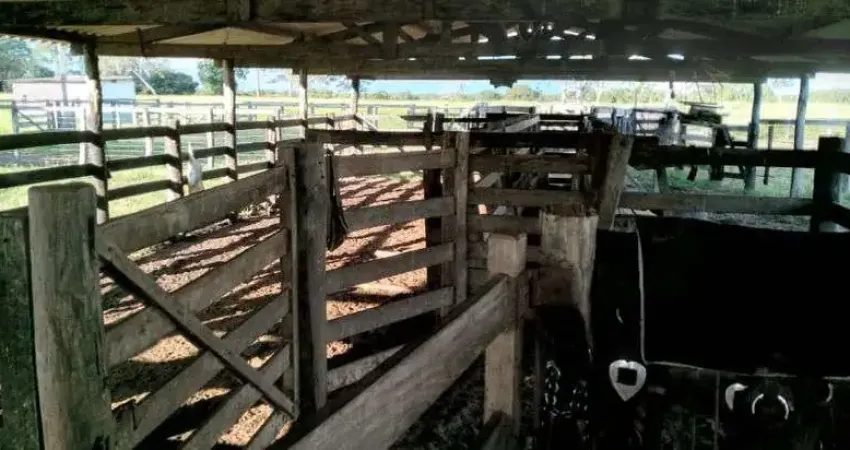 Chácara / sítio à venda no Centro, Cocalinho 