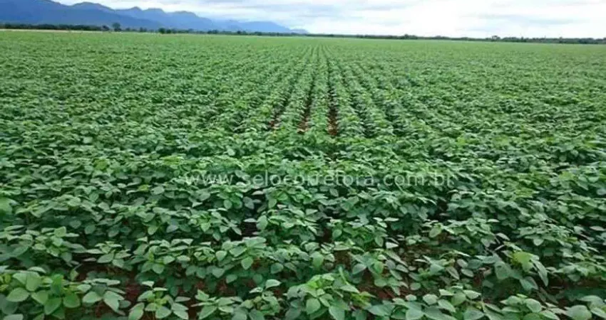 Chácara / sítio à venda no Centro, Rosário Oeste