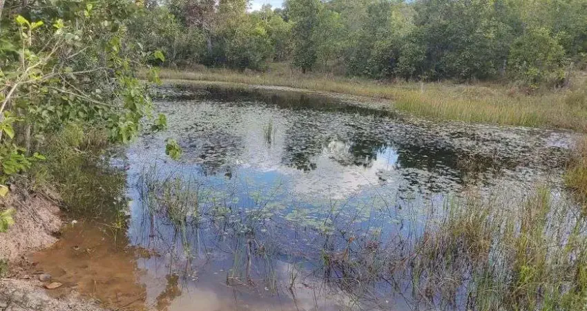Maravilhosa área na região do morrinho no muni. de santo antônio de leverger