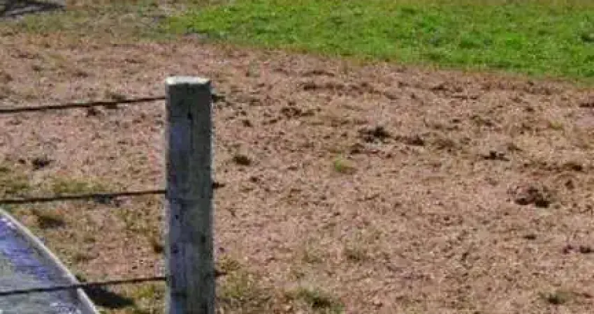 Chácara / sítio com 2 quartos à venda no Centro, Cocalinho