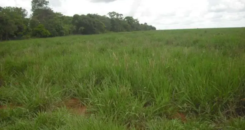 Chácara / sítio à venda no Centro, Rio Verde de Mato Grosso
