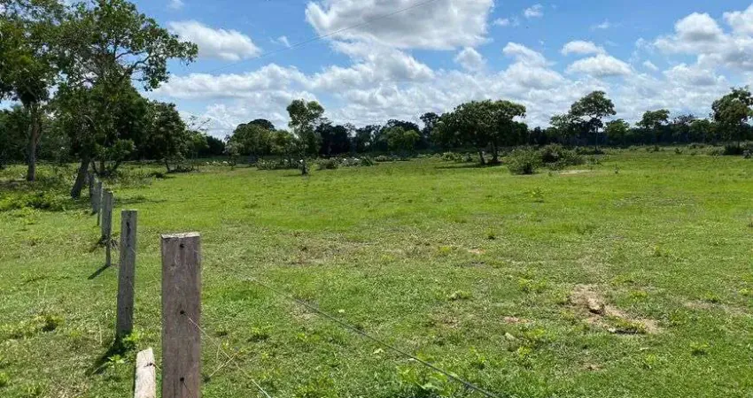Excelente fazenda a beira do asfalto no muni. de poconé - pantanal - mt