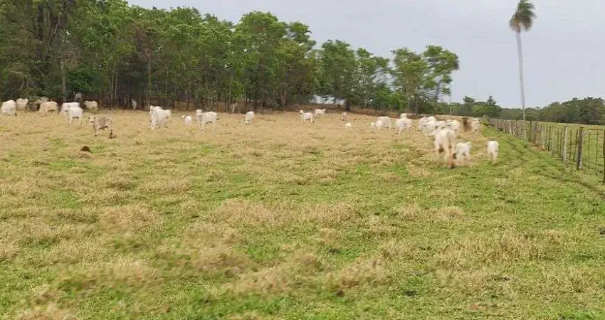 Chácara / sítio à venda no Centro, Araguainha 