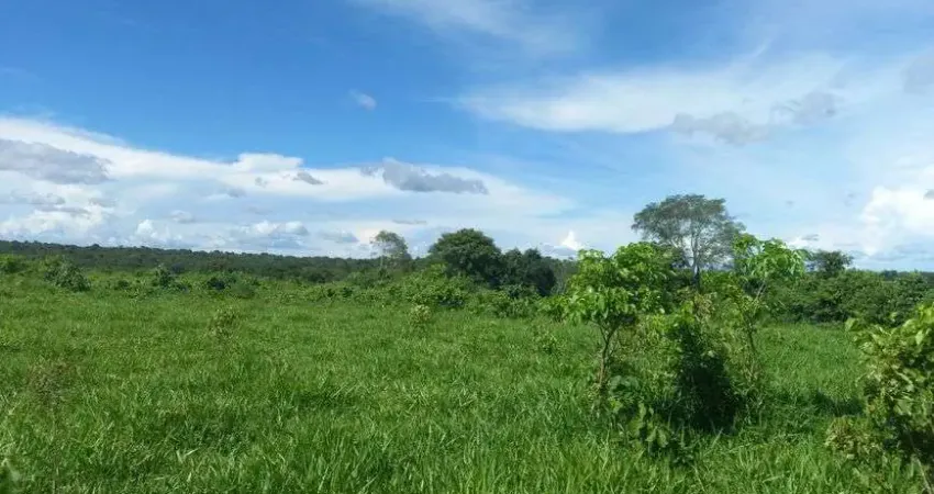 Chácara / sítio à venda no Centro, Nossa Senhora do Livramento