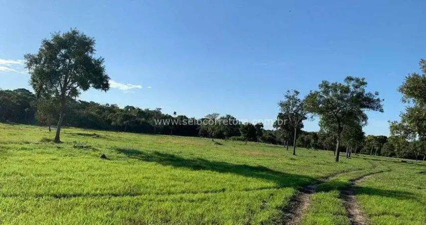 Excelente fazenda no muni. de são félix do araguaia e parte no muni. de luciara - mt