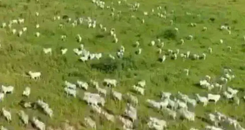 Chácara / sítio à venda no Centro, Araguaiana