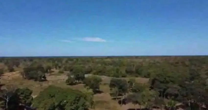 Excelente fazenda com pousada no muni. de poconé- pantanal- mt